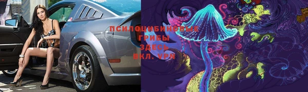 тгк Алексеевка