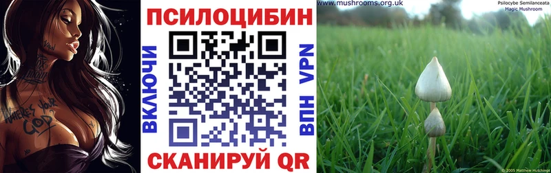 где купить наркоту  Калининск  Псилоцибиновые грибы ЛСД 